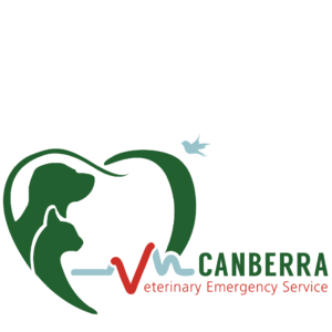 Canberra Veterinary Emergency Services Image