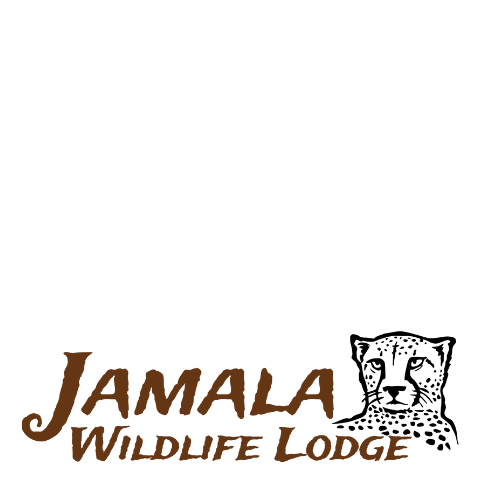 Jamala Wildlife Lodge Image